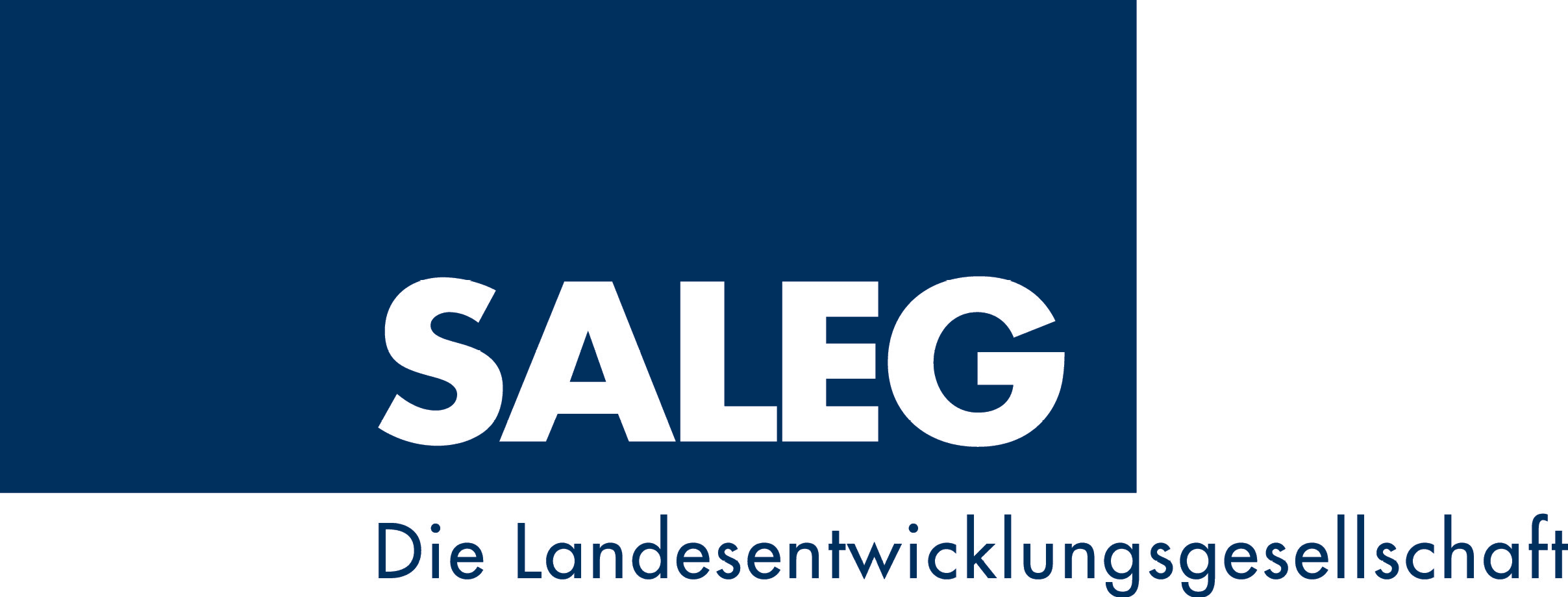 Logo SALEG