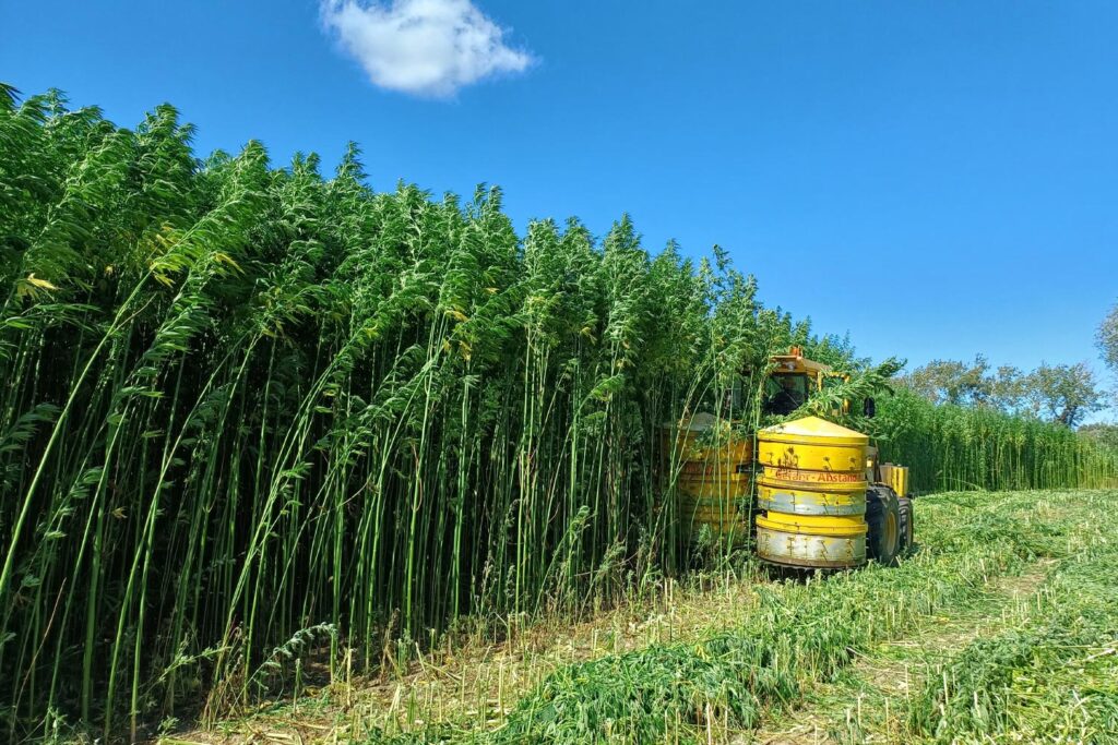Information- and competence center Hemp with adventure trails (IKHE)