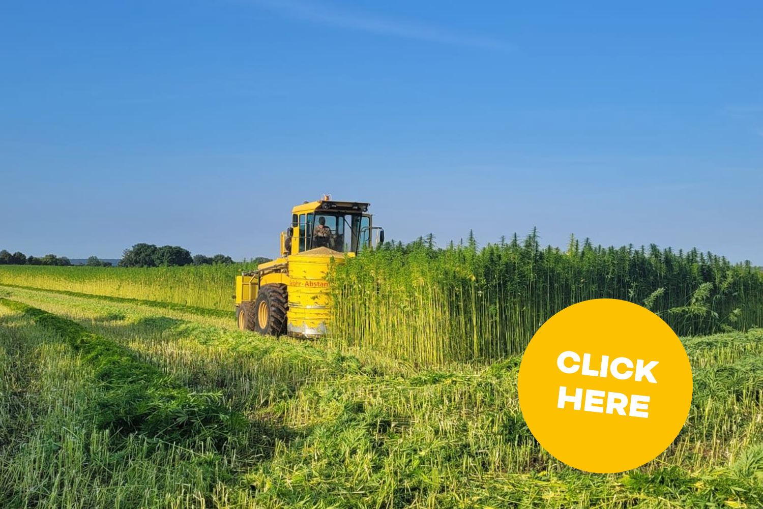 Information- and competence center Hemp with adventure trails (IKHE)