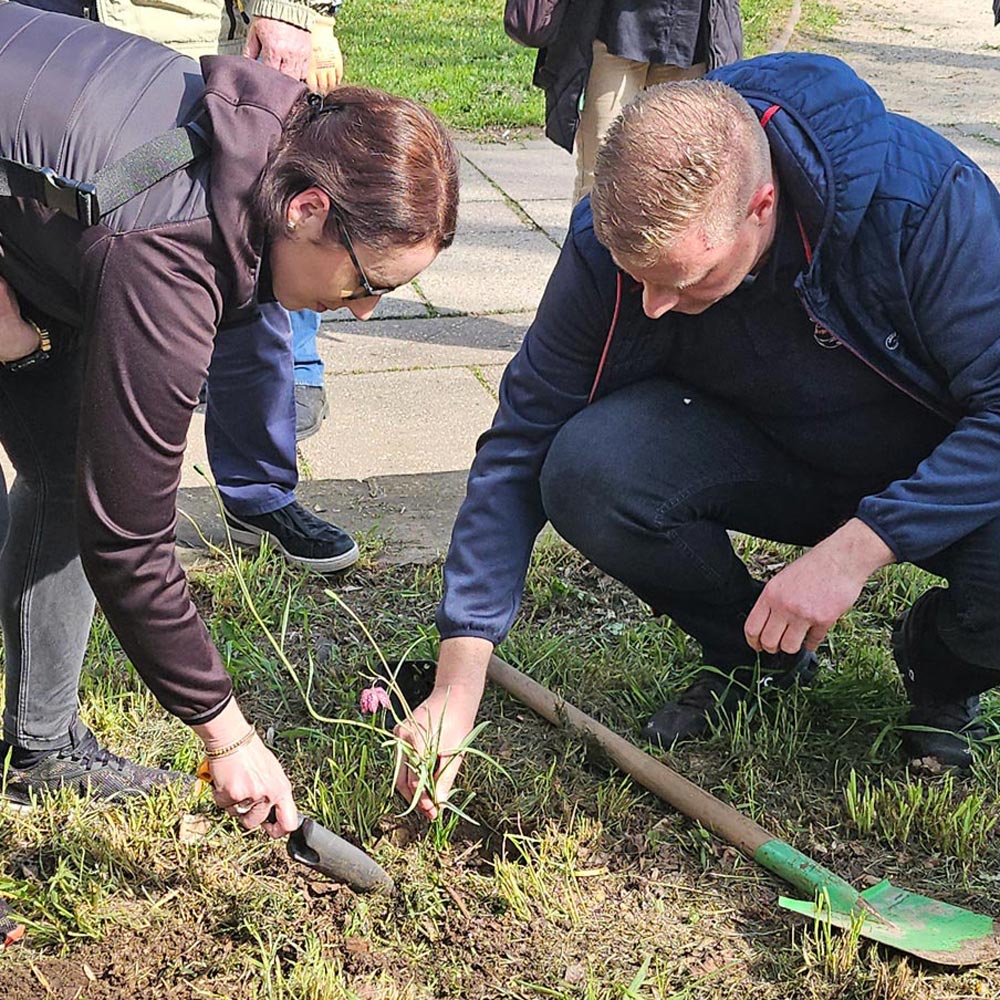 Aktionswerkstatt in Lutherstadt Eisleben