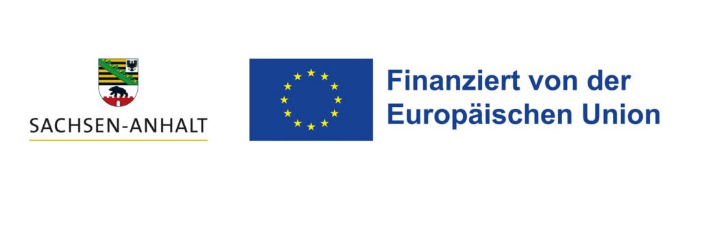 Finanziert von der Europäischen Union